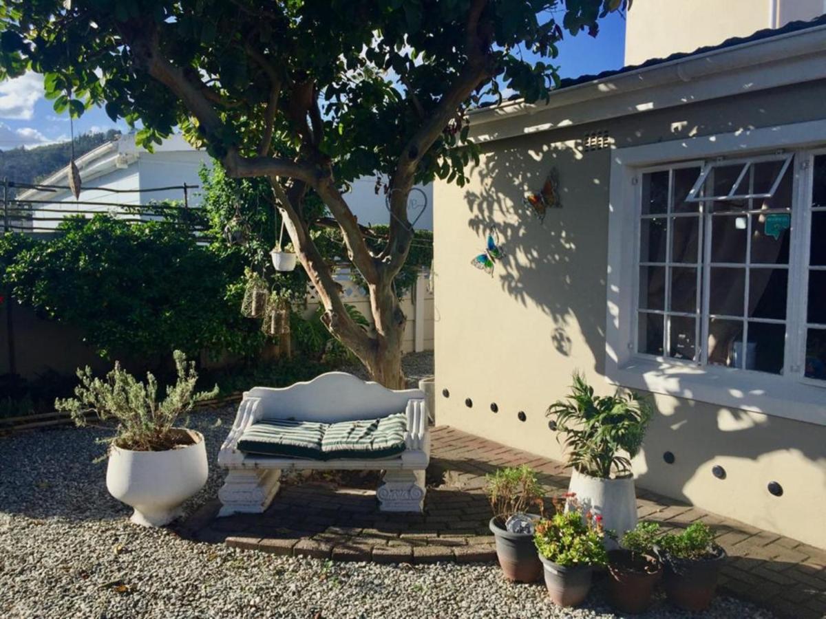 Jembjo'S Knysna Lodge & Backpackers Εξωτερικό φωτογραφία