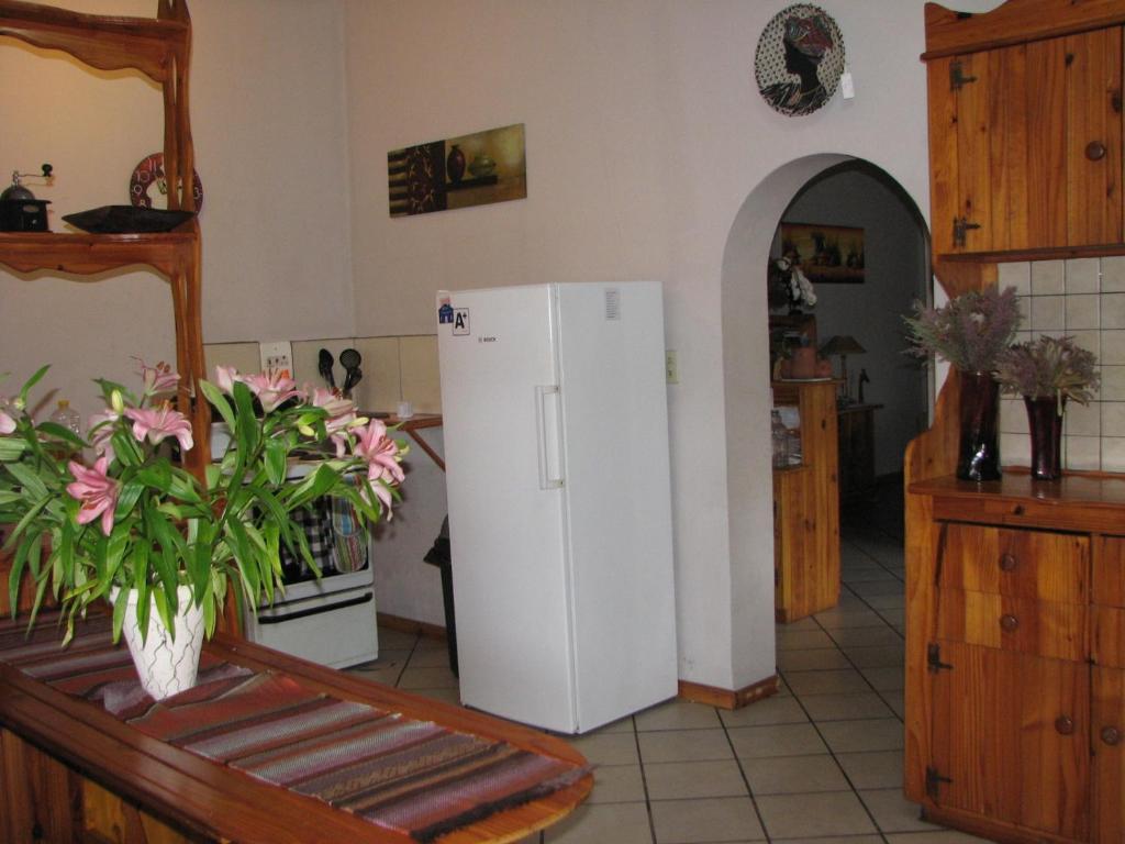 Jembjo'S Knysna Lodge & Backpackers Εξωτερικό φωτογραφία